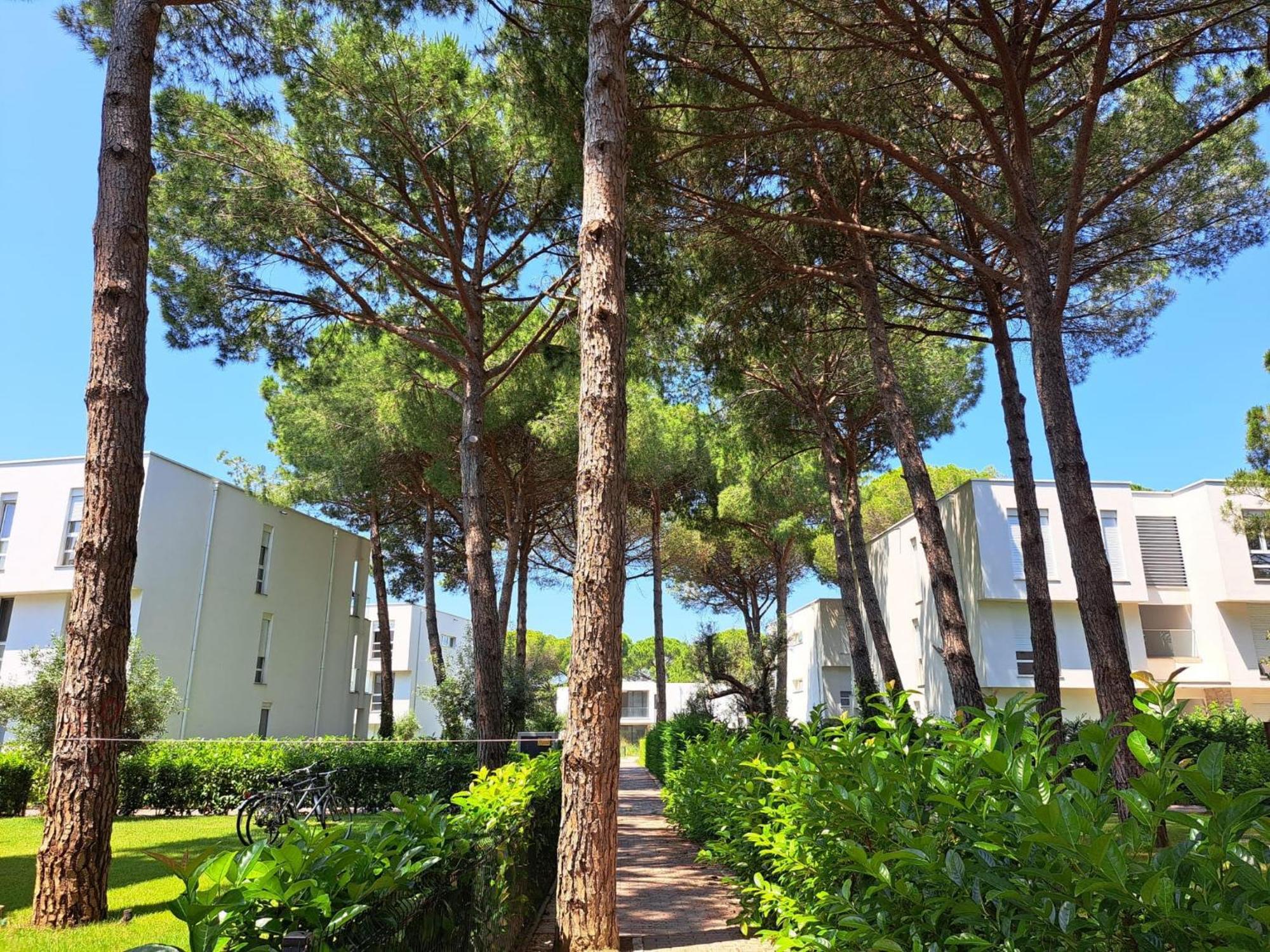 M&e Premium - San Pietro Durrës